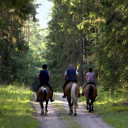Glen Affric Holiday Park Cannich Ngoại thất bức ảnh