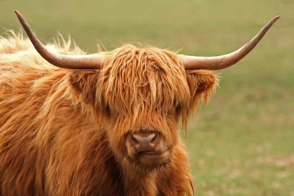 Glen Affric Holiday Park Cannich Ngoại thất bức ảnh