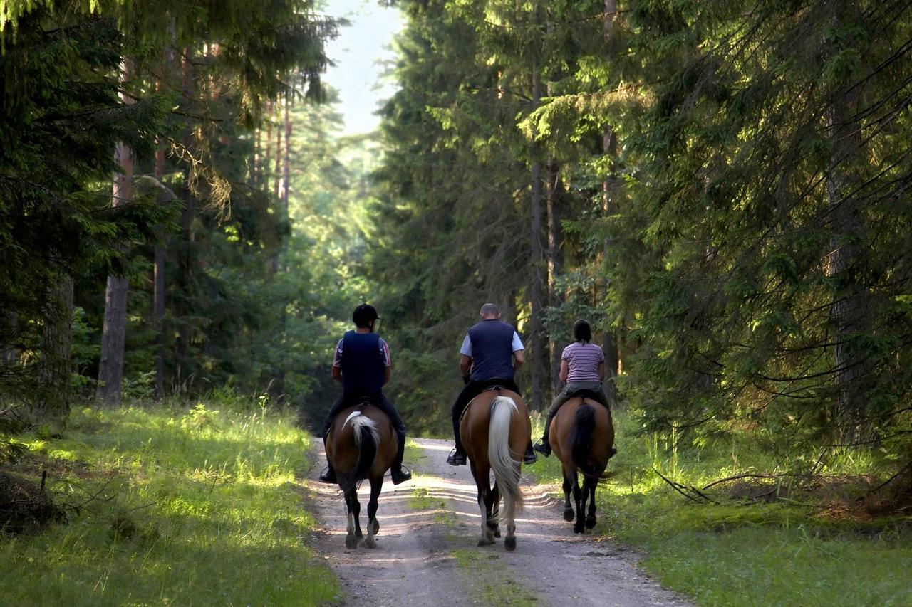 Glen Affric Holiday Park Cannich Ngoại thất bức ảnh